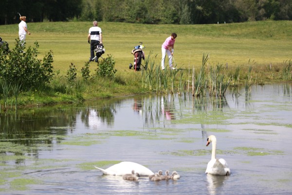 Lage Mors golfarrangement in Aparthotel Delden