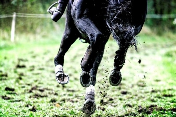 Hotel arrangement Eventing Military Boekelo Aparthotel Delden, Hotel in de Hof van Twente
