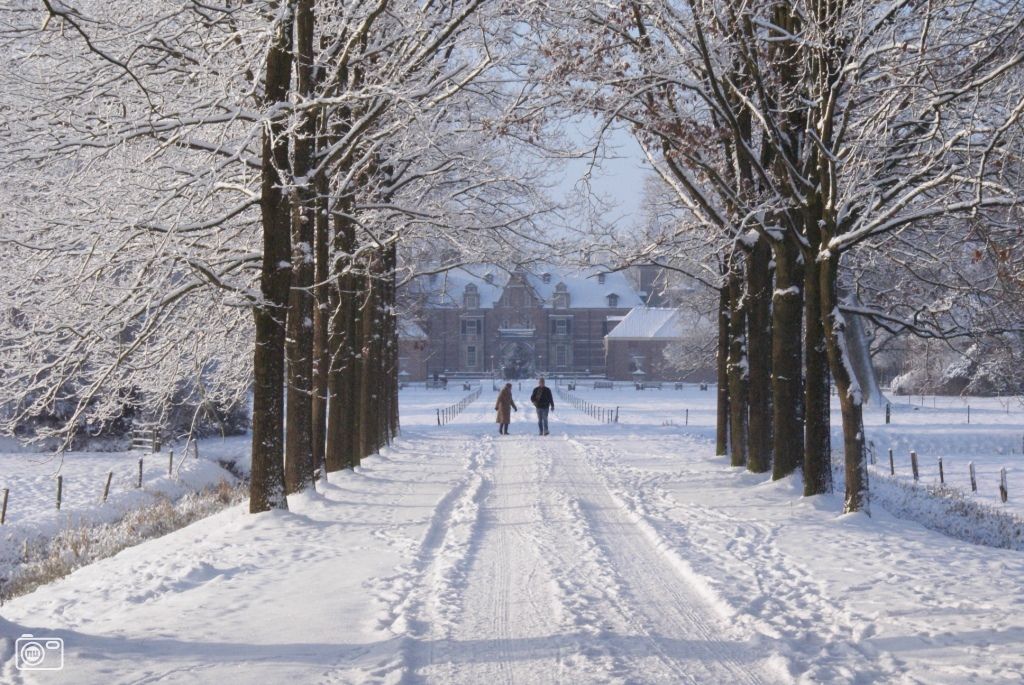 Landgoed Twickel winter